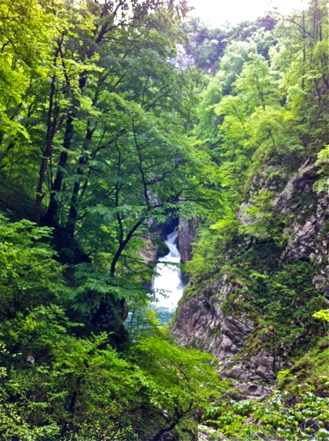 The Reka River above ground, near Škocjan Caves, Slovenia